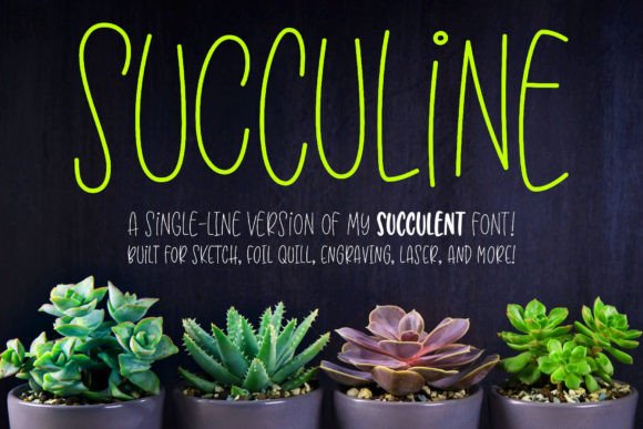 Download Succuline (single Line) - Premium Resources